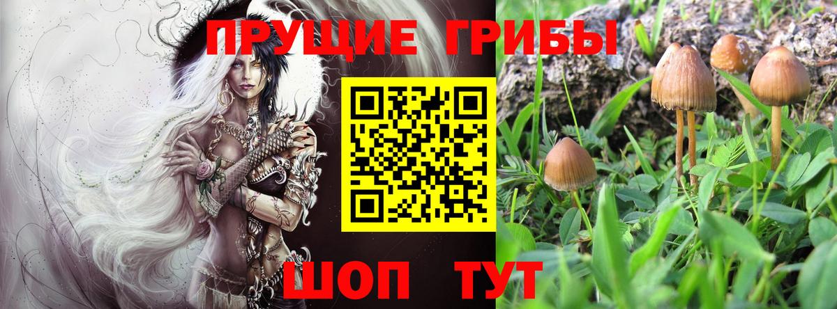 Галлюциногенные грибы мицелий  Вход с VPN  Галлюциногенные грибы прущие грибы  Назарово 